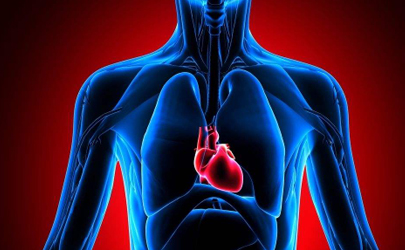 长期跑步的人为什么心脏不早搏