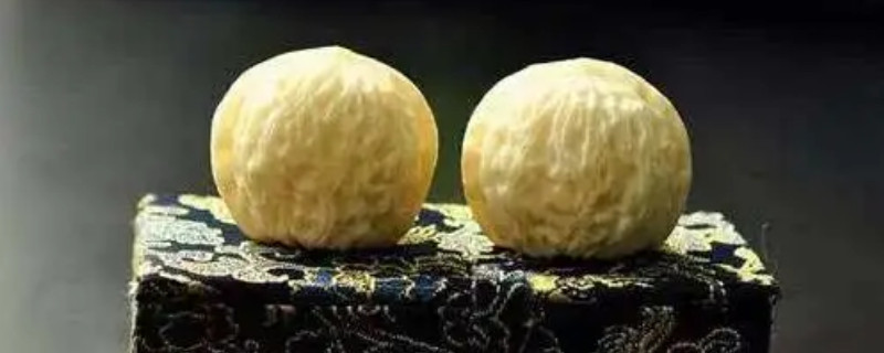 天然的象牙果如何鉴别真假