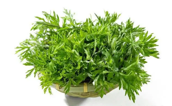 艾草的功效与作用