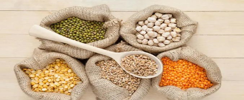 三九天吃哪些食物最好