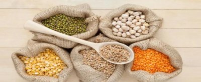 三九天吃哪些食物最好