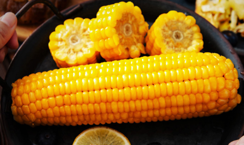 正常玉米多少钱一根