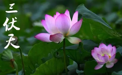 2022三伏天哪个伏天是最热的