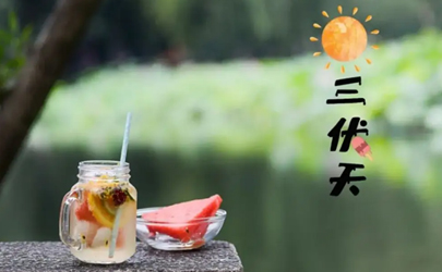 三伏天如何正确调理身体
