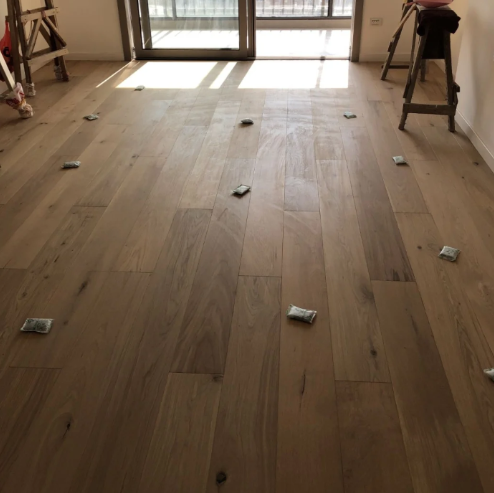 除甲醛王炸组合介绍