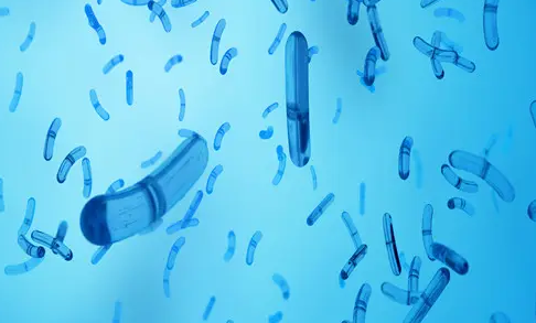 霍乱传播途径有哪些？死亡率高吗