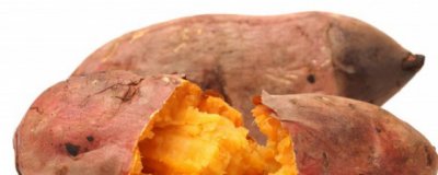 空气炸锅做地瓜需要多少时间温度