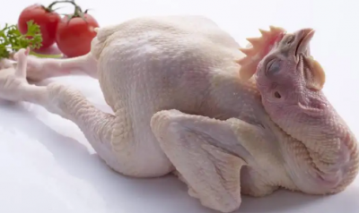 吃了得了霍乱的鸡怎么办