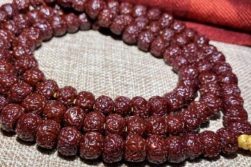 2022年五瓣金刚菩提的价格