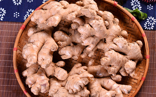 隔夜生姜怎么治咳嗽?