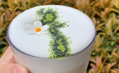 星巴克山茶花漾拿铁评价如何