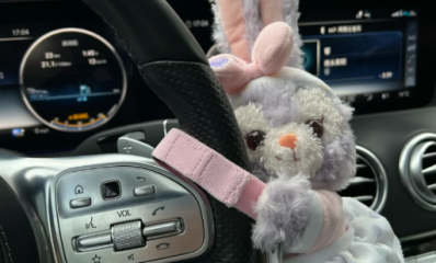 夫妻变更车主需要什么手续