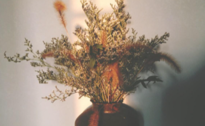 干花放久了会不会枯萎