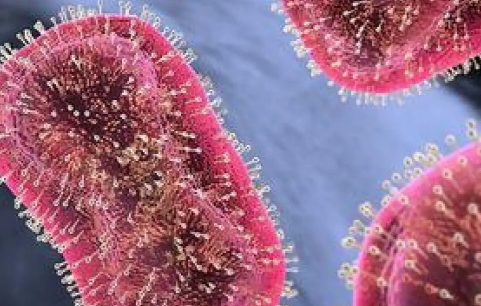 猴痘病毒能治好吗