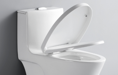 马桶坐的那个圈坏了怎么办？可以单换吗