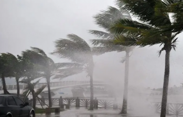 为什么2022年台风很少？