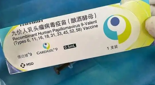 支付宝九价疫苗预约成功如何查看