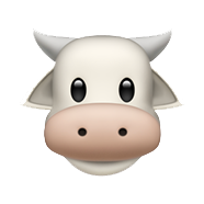 Moovie