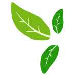 CleanPNG