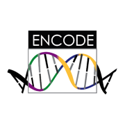 ENCODE at UCSC