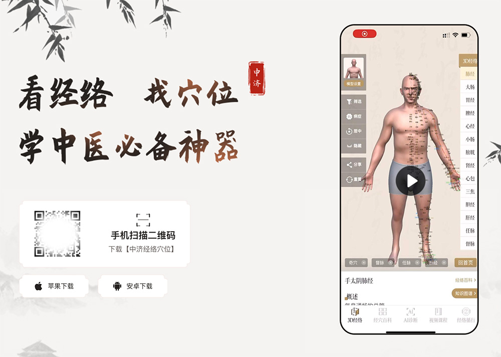 中济经络穴位：一款专注于中医经络穴位学习的APP