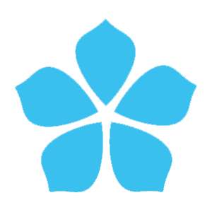 Mirillis Action