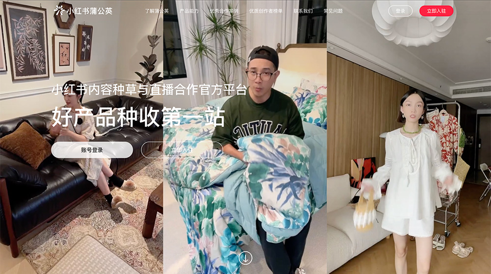 小红书蒲公英