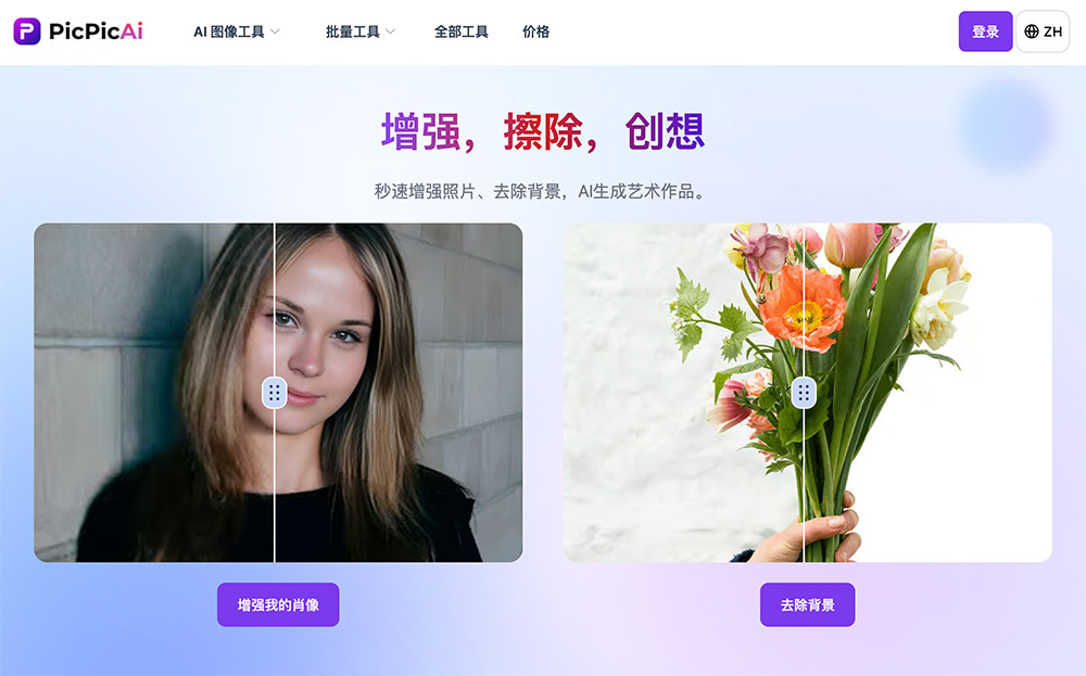 PicPicAI官网插图