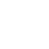 风鸟