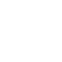 SkyReels