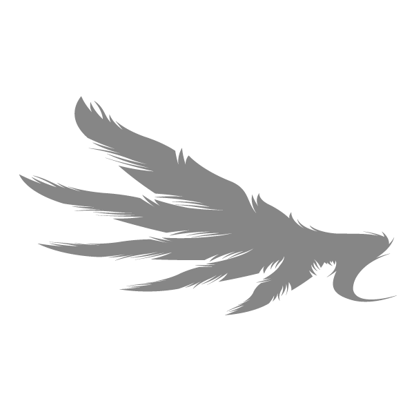 ST-Raptor