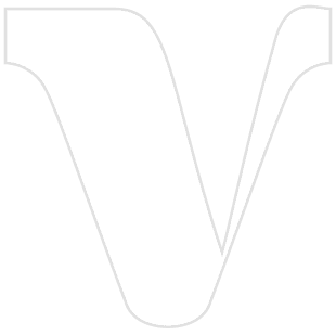 VeoGo AI