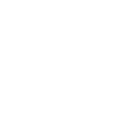 Wisibl